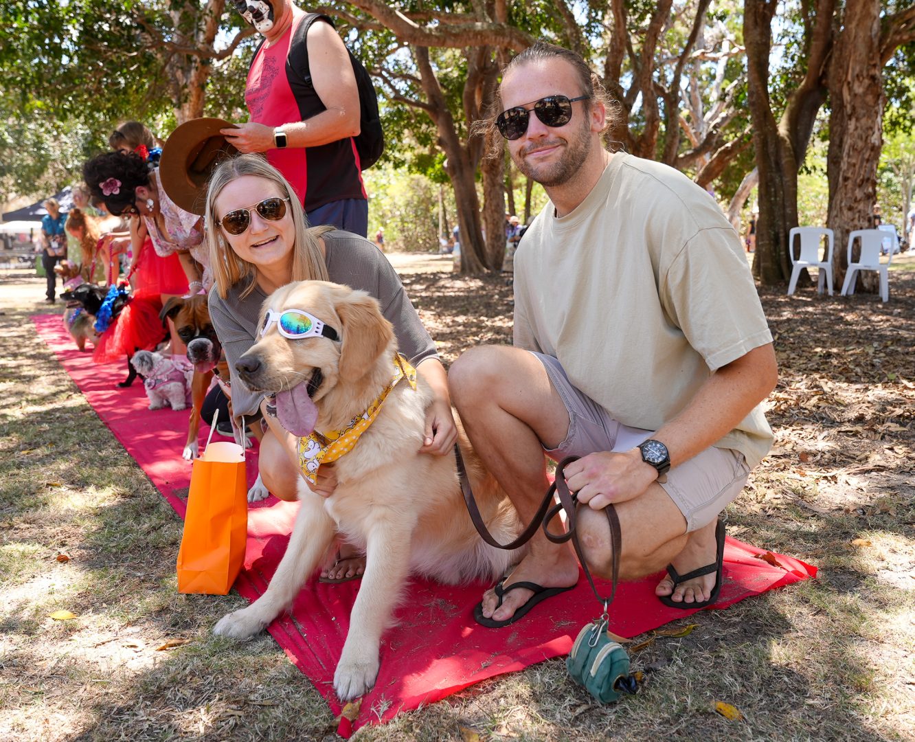 Hervey Bay Unleashes the Fun with A Dog’s Day Out!