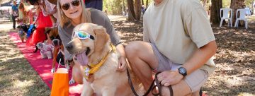 Hervey Bay Unleashes the Fun with A Dog’s Day Out!